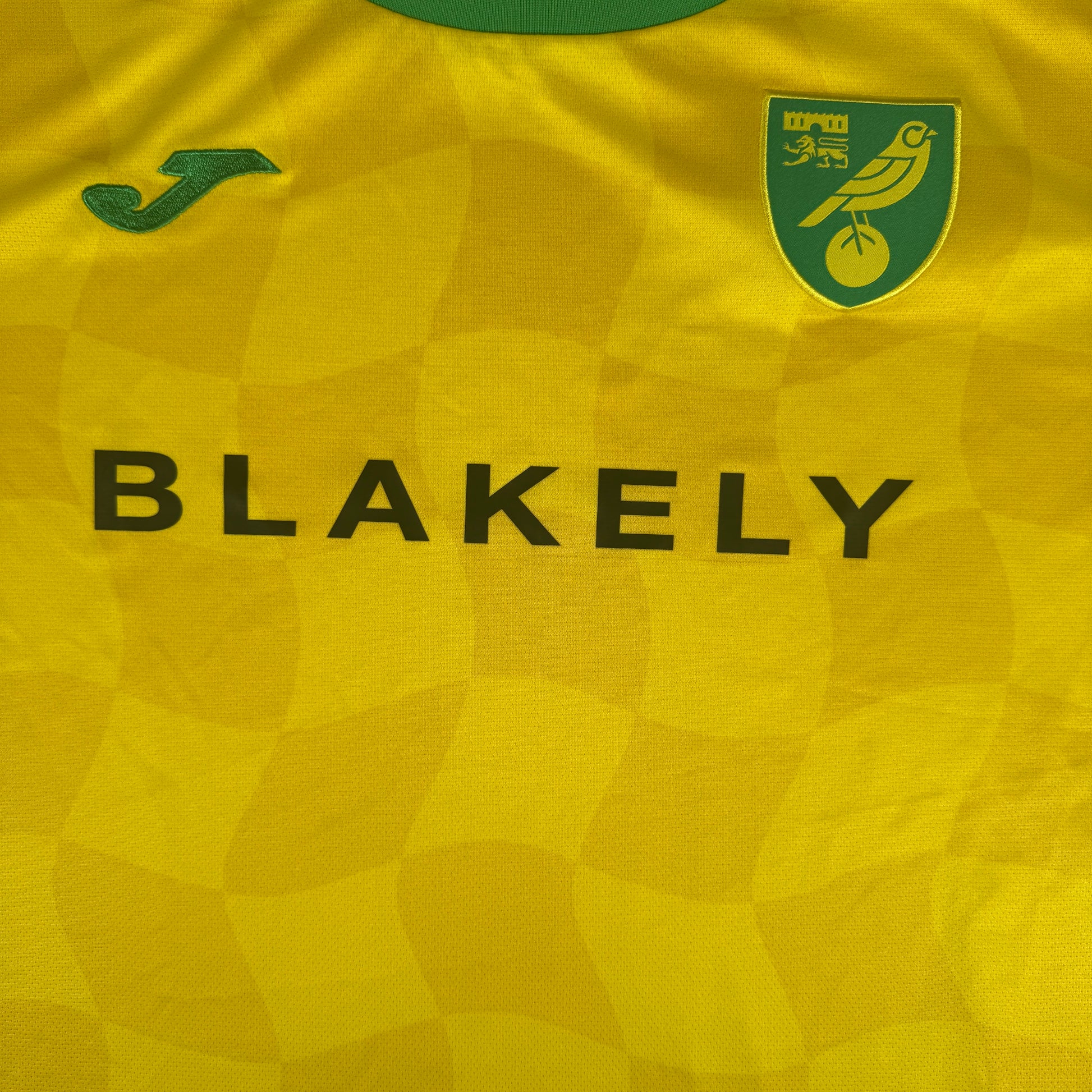 Norwich City 2024/2025 Home Football Shirt 3XL XXXL – Football Shirt Kingdom