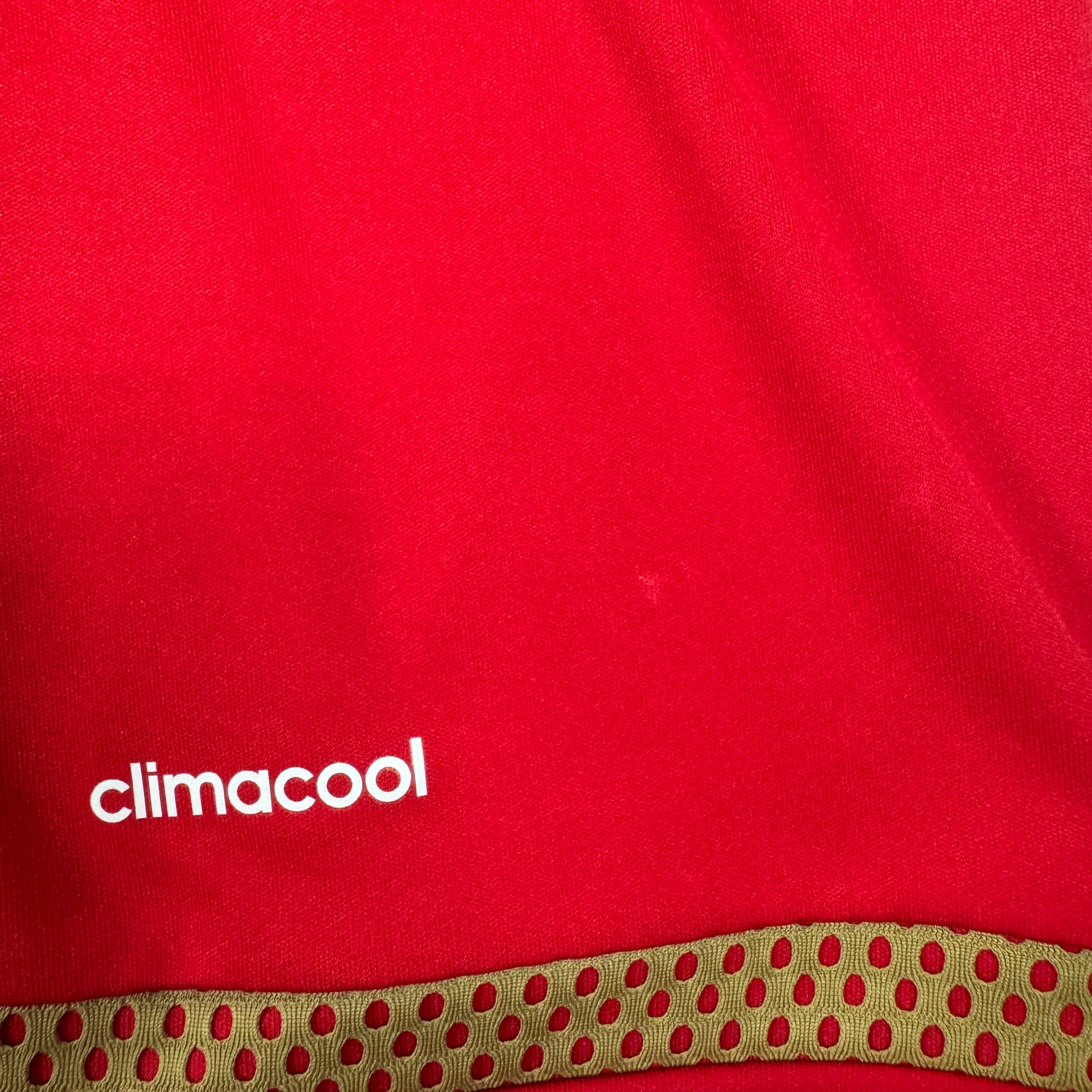 Nottingham Forest 2015/2016 Home Football Shirt 3XL – Football Shirt Kingdom