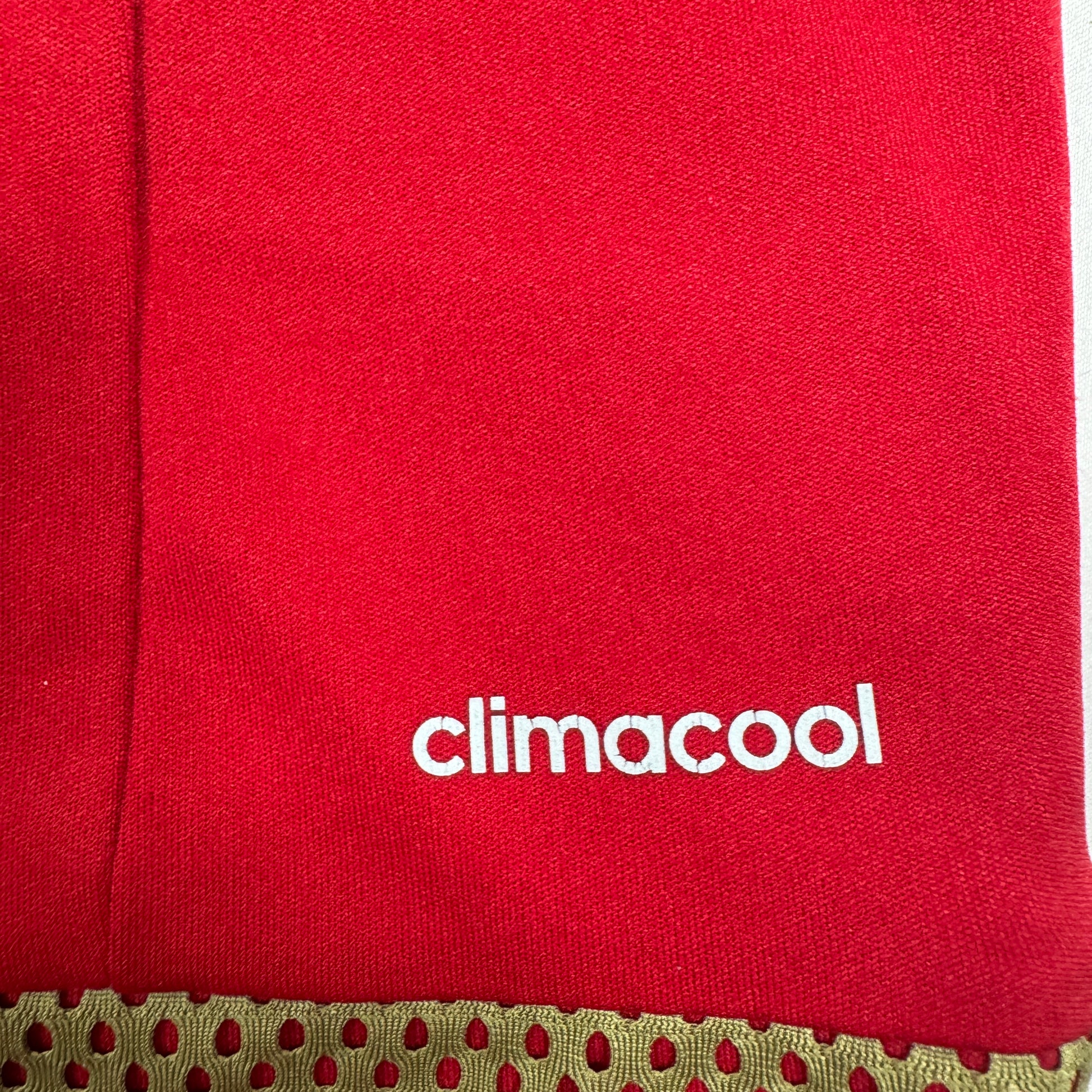 Nottingham Forest 2015/2016 Home Football Shirt Medium – Football Shirt Kingdom