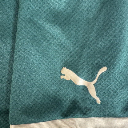 Plymouth Argyle 2023/2024 Home Football Shirt Medium