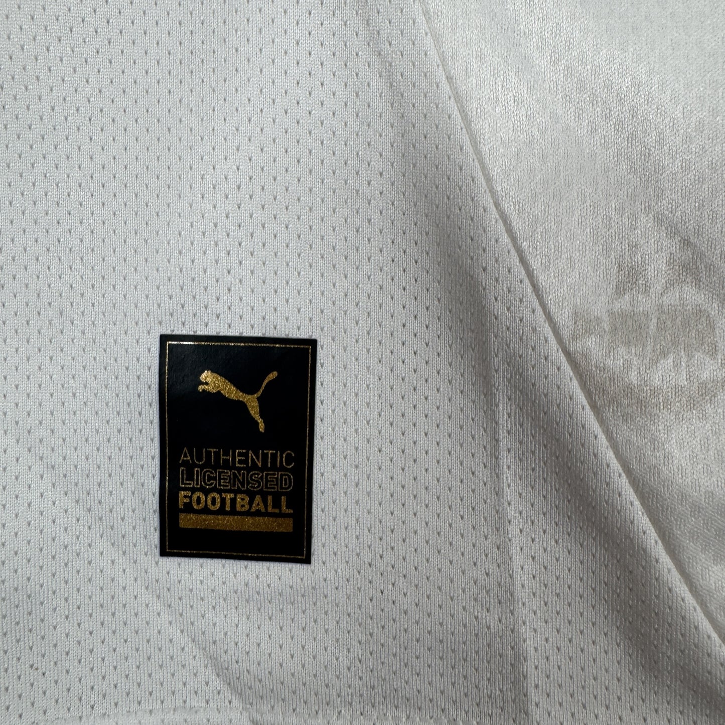 Plymouth Argyle 2024/2025 Away Football Shirt Medium