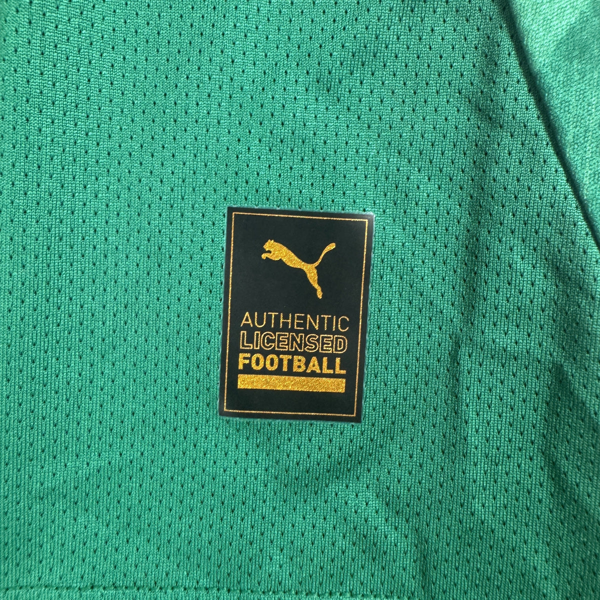Plymouth Argyle 2024/2025 Home Football Shirt Medium BNWT