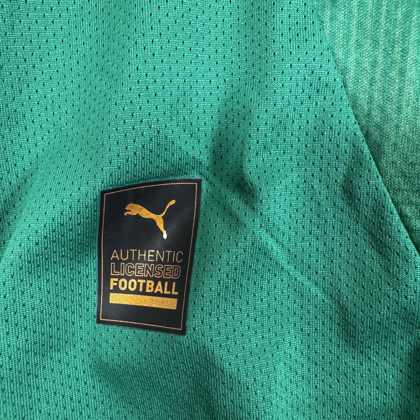 Plymouth Argyle 2024/2025 Home Football Shirt XXL