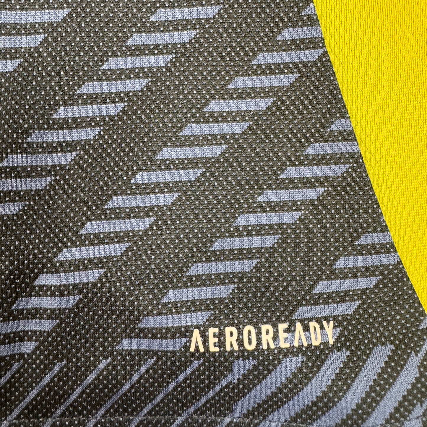 Scotland 2024/2025 Home Football Shirt XXL