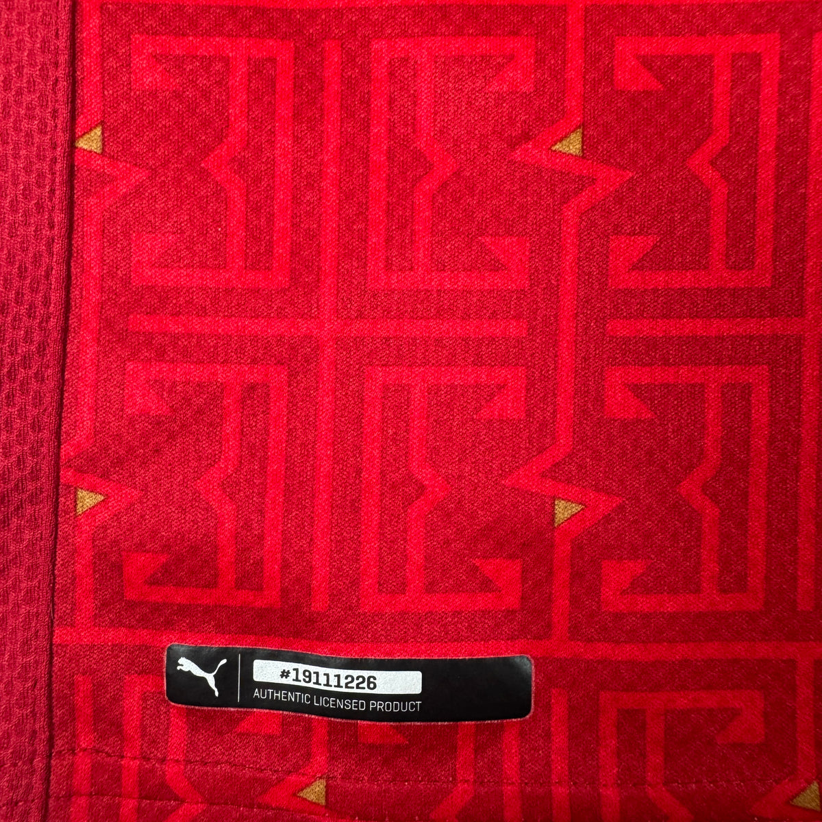 Serbia 2020/2021/2022 Home Football Shirt Small – Football Shirt Kingdom