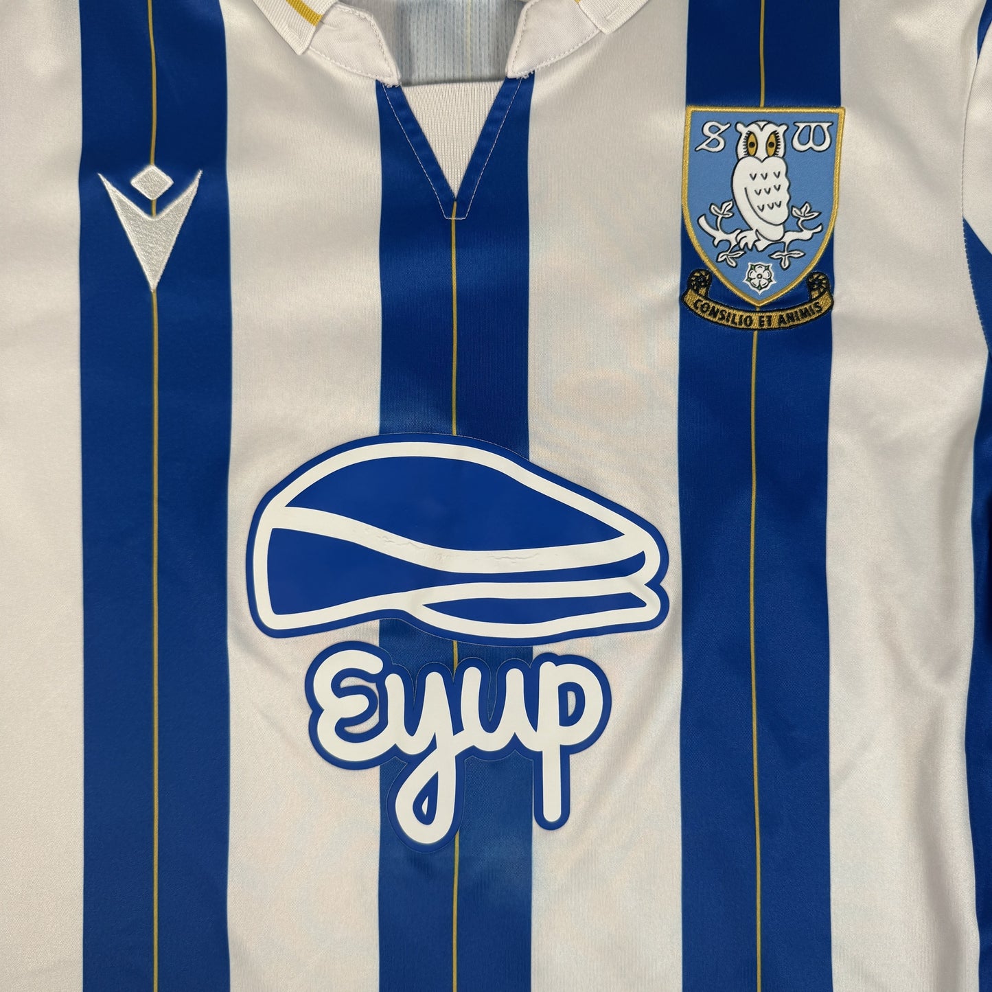 Sheffield Wednesday 2023/2024 Home Football Shirt Large
