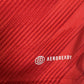 Wales 2022/2023/2024 Home Football Shirt Large