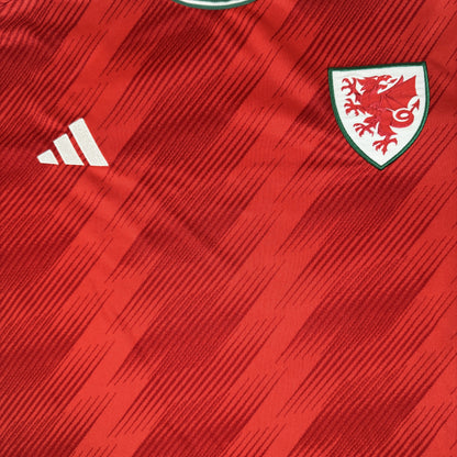 Wales 2022/2023/2024 Home Football Shirt XL — front close-up