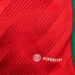 Wales 2022/2023/2024 Home Football Shirt 3XL – Football Shirt Kingdom