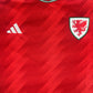 Wales 2022/2023/2024 Home Football Shirt Large – Football Shirt Kingdom