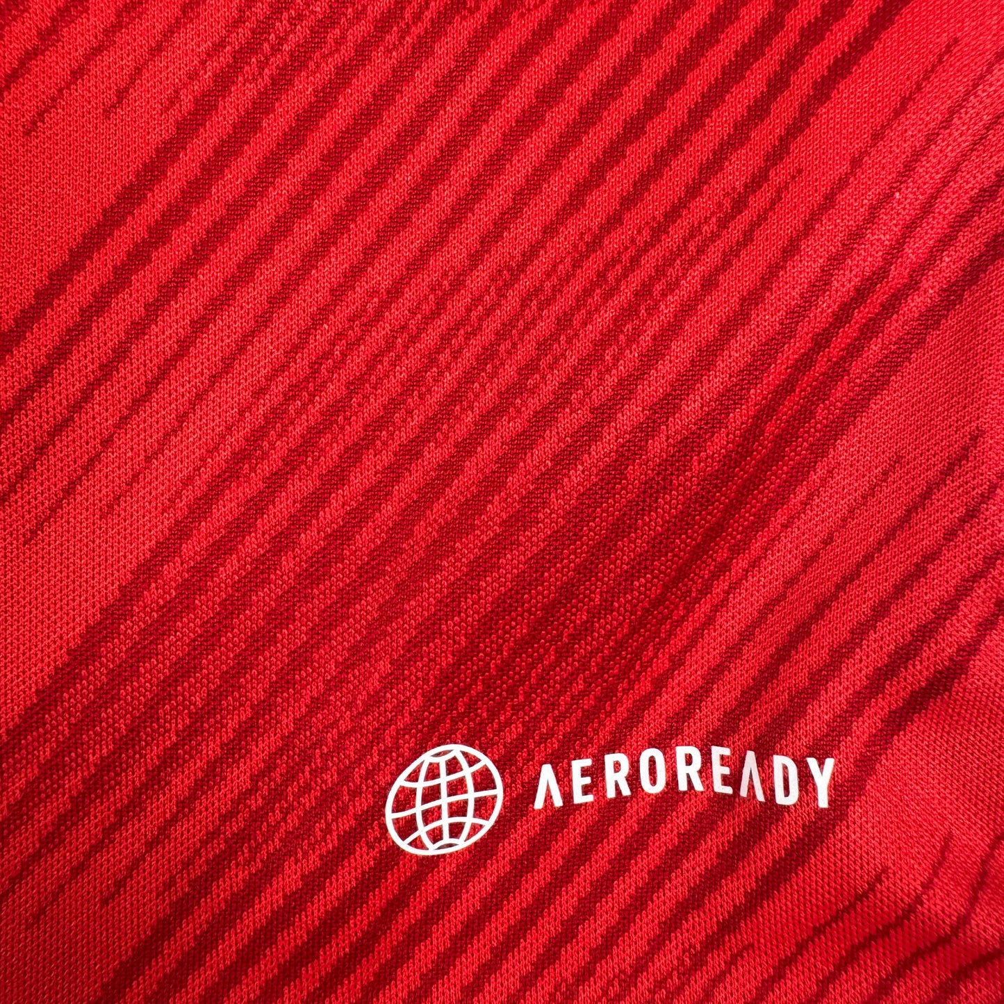 Wales 2022/2023/2024 Home Football Shirt Large – Football Shirt Kingdom