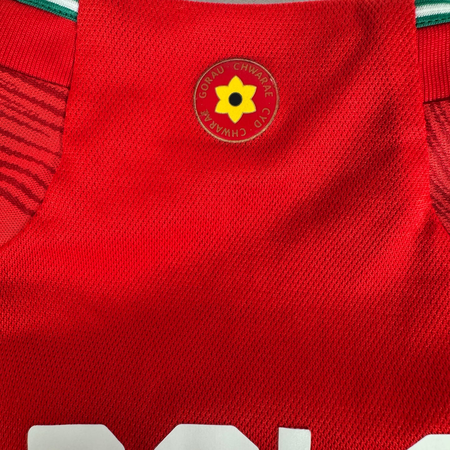 BALE 11 Wales 2022/2023/2024 Home Football Shirt Medium – Football Shirt Kingdom