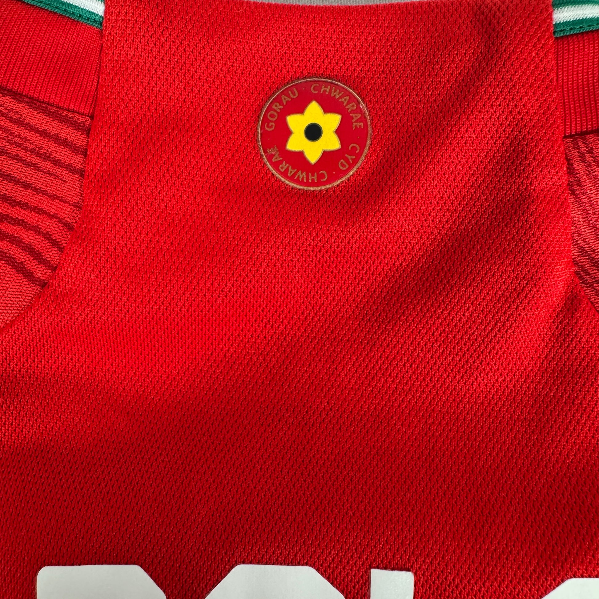 BALE 11 Wales 2022/2023/2024 Home Football Shirt Medium – Football Shirt Kingdom