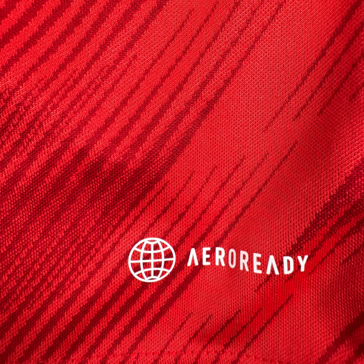 Wales 2022/2023/2024 Home Football Shirt Medium – Football Shirt Kingdom