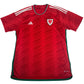 Wales 2022/2023/2024 Home Football Shirt XL – Football Shirt Kingdom