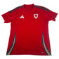 Wales 2024/2025/2026 Home Football Shirt Large