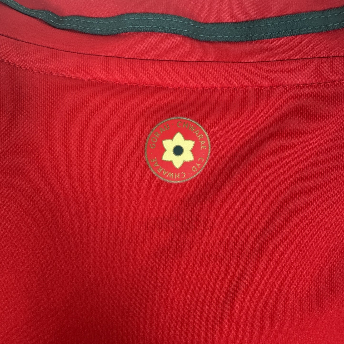 Wales 2024/2025/2026 Home Football Shirt Large