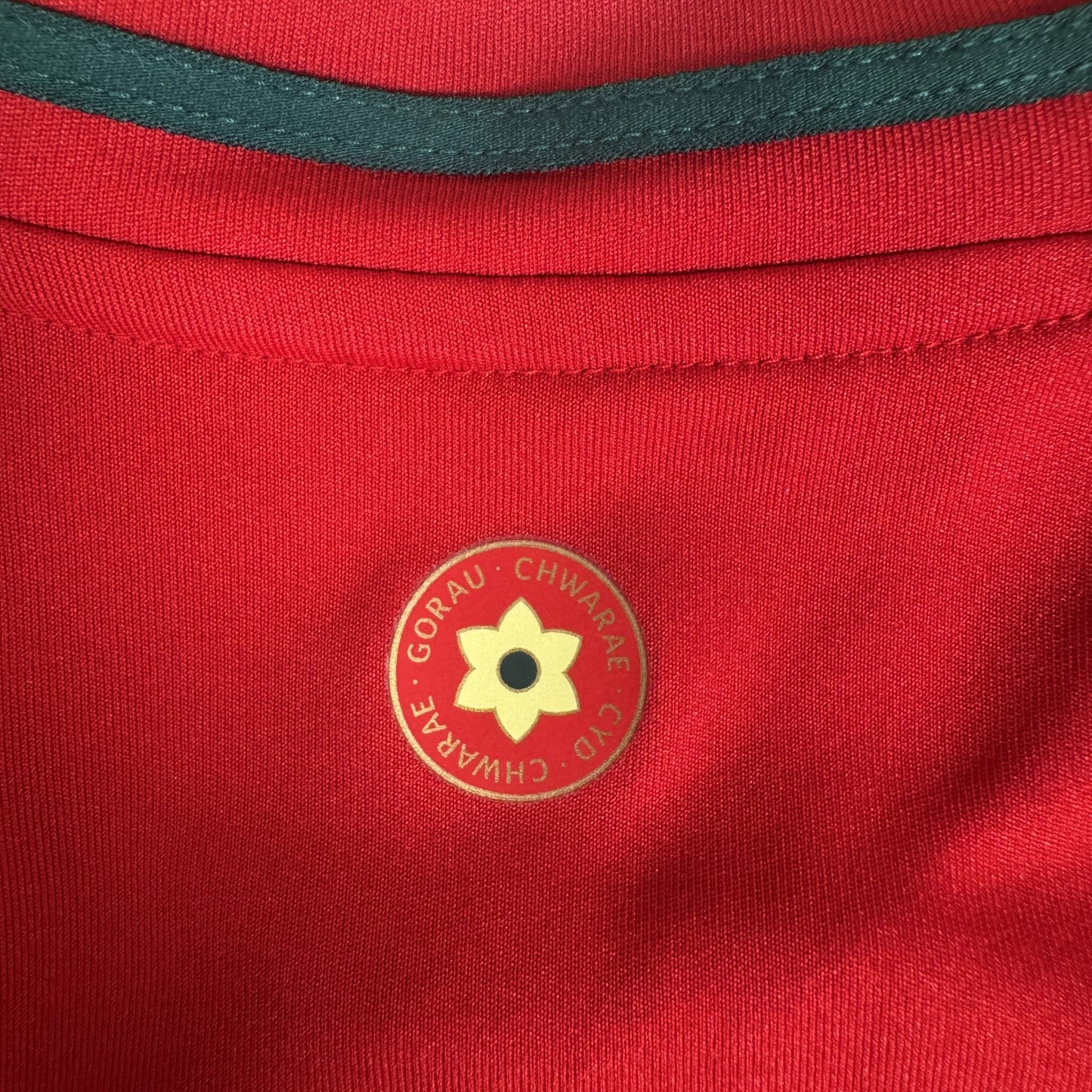Wales 2024/2025/2026 Home Football Shirt Medium