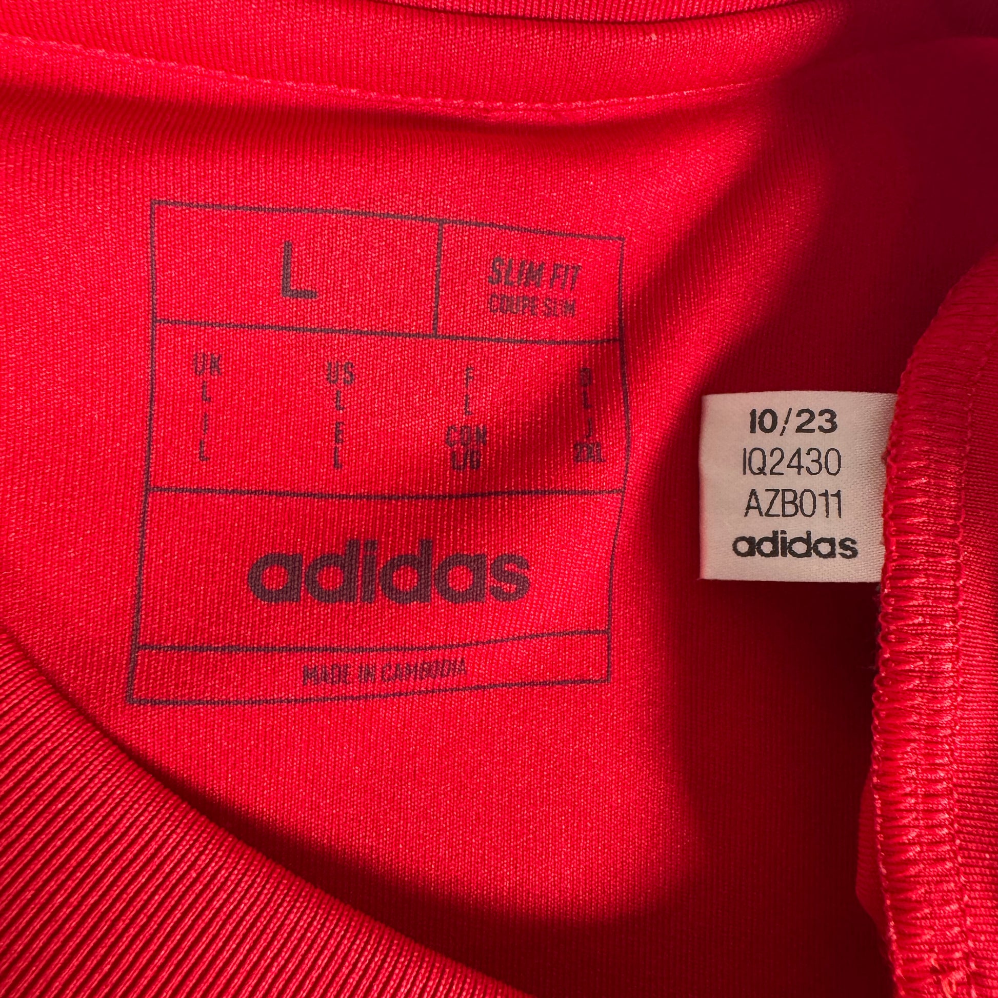 Wales 2024/2025 Home Football Shirt Large – Football Shirt Kingdom