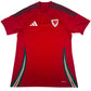 Wales 2024/2025/2026 Home Football Shirt Medium – Football Shirt Kingdom
