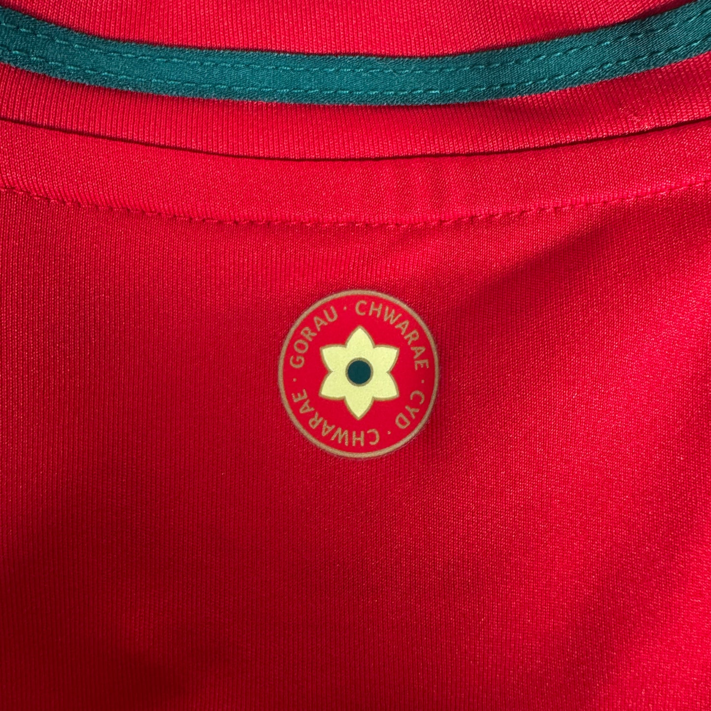Wales 2024/2025/2026 Home Football Shirt Medium – Football Shirt Kingdom