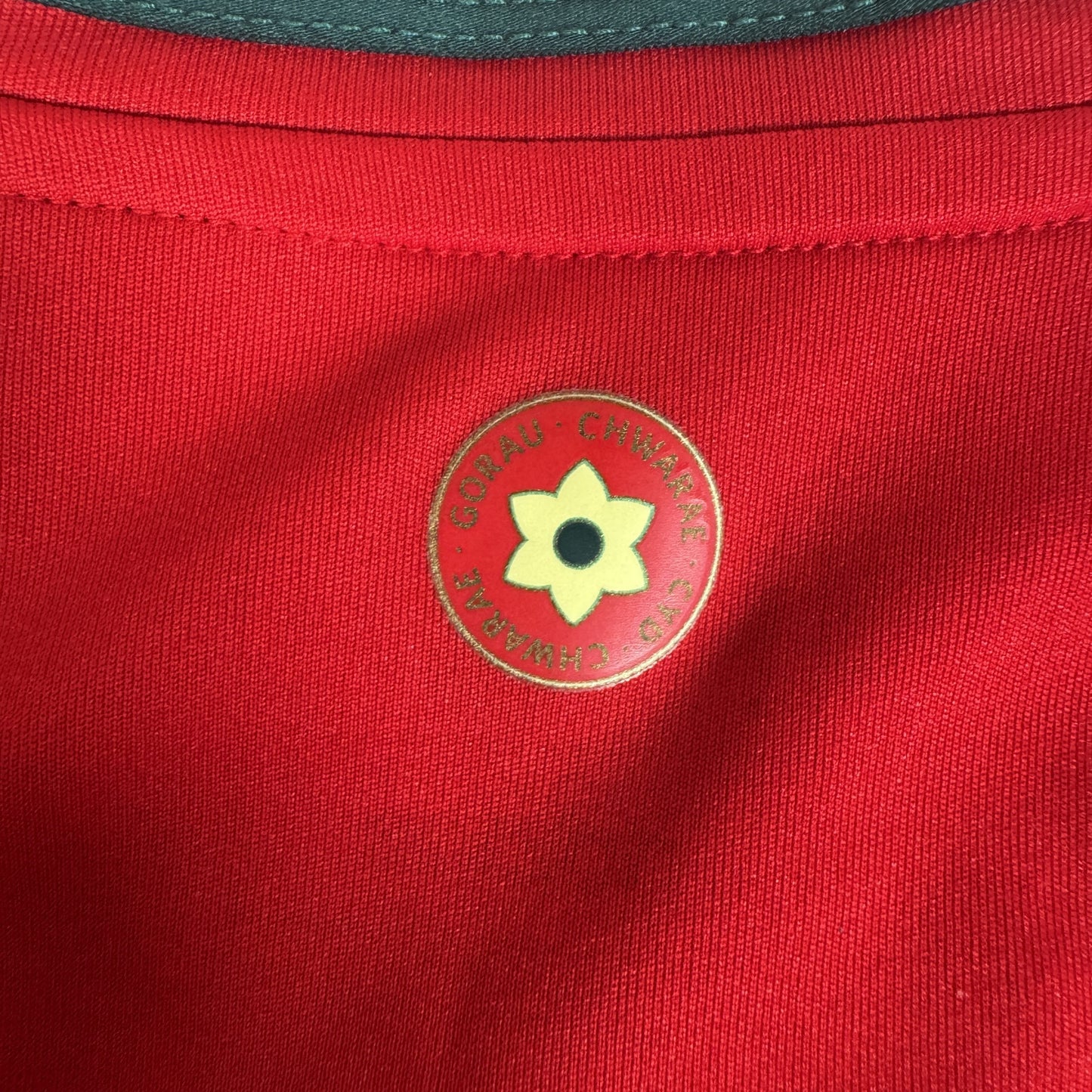 Wales 2024/2025 Home Football Shirt Medium