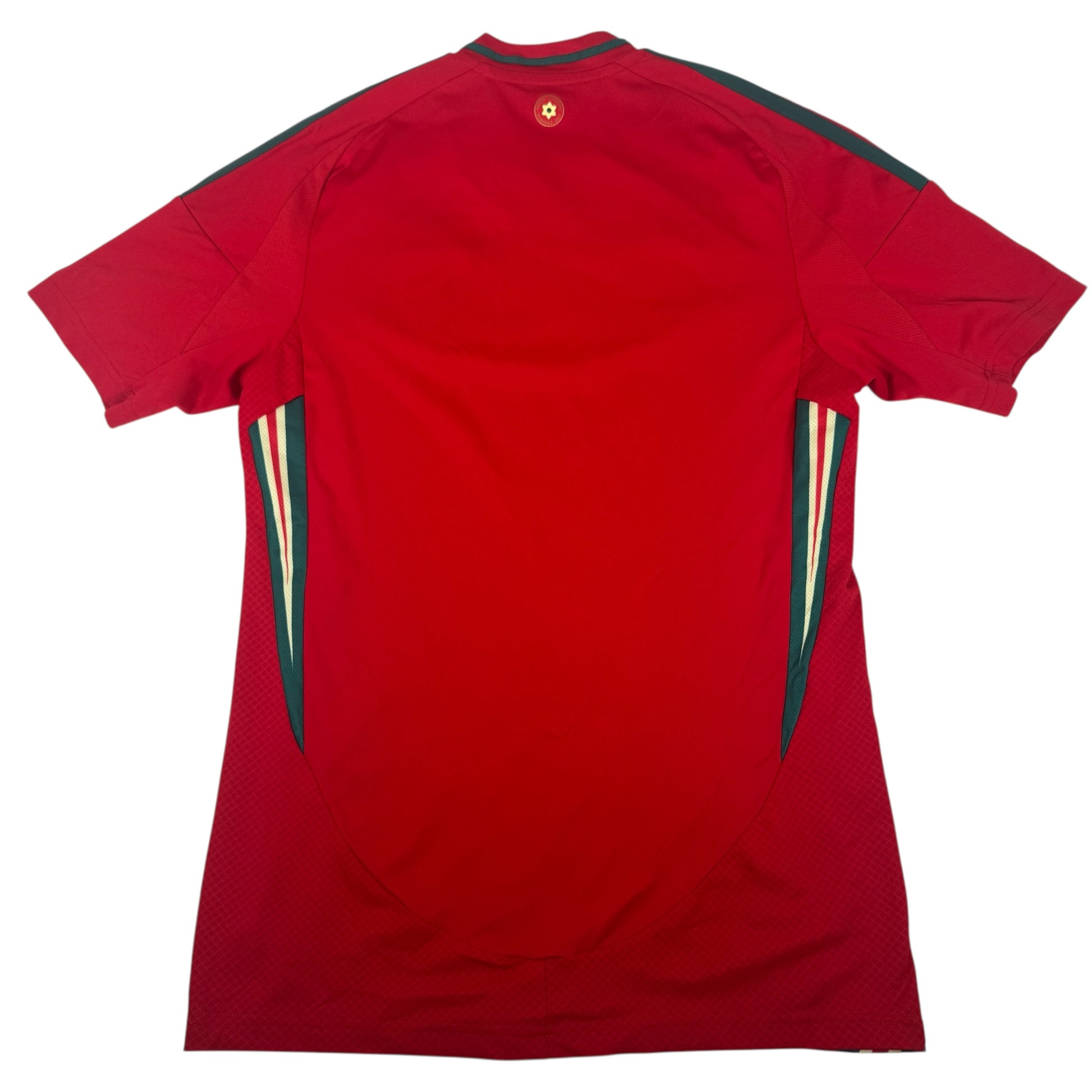 Wales 2024/2025 Home Football Shirt Small – Football Shirt Kingdom