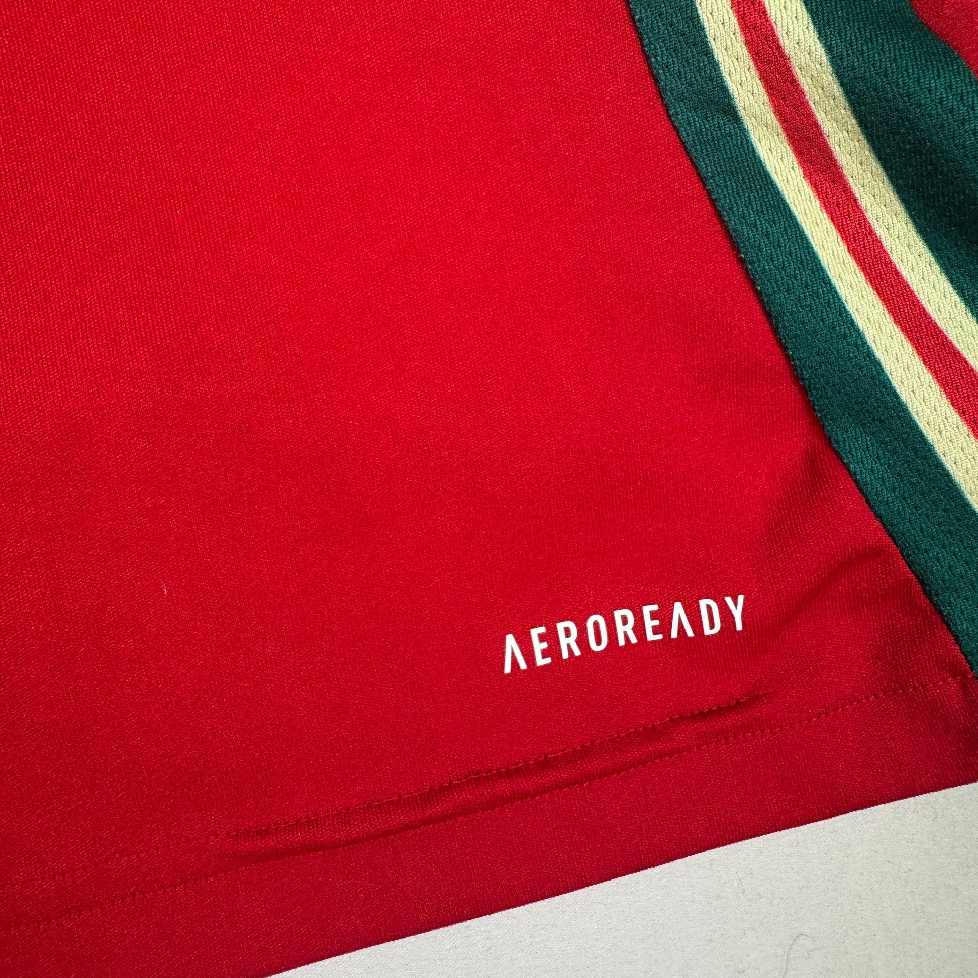 Wales 2024/2025/2026 Home Football Shirt Small – Football Shirt Kingdom
