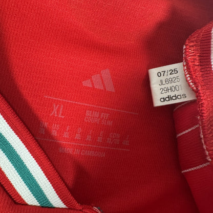 Wales 2026/2027 Home Football Shirt XL