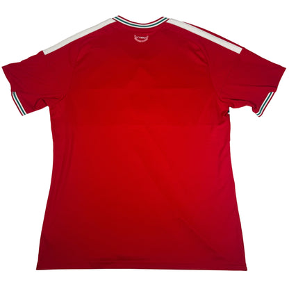 Wales 2026/2027 Home Football Shirt XL — full back view