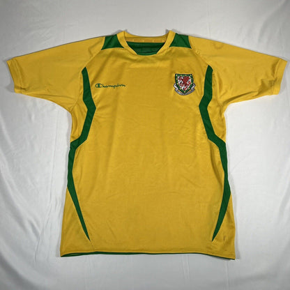 Wales 2008/2009/2010 Third Football Shirt Men’s Medium — full front view