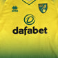 Norwich City 2019/2020 Home Football Shirt  Men’s XL - Football Shirt Kingdom