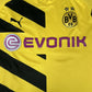 Borussia Dortmund 2014/2015 Home Football Shirt Men’s Large - Football Shirt Kingdom